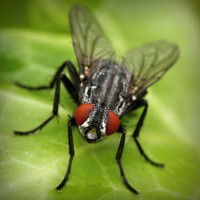 /album/oyun-cumhuriyeti/photolia-a01-jpg/