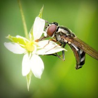 /album/oyun-cumhuriyeti/photolia-a02-jpg/