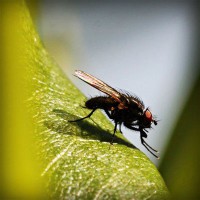 /album/oyun-cumhuriyeti/photolia-a04-jpg/