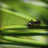 /album/oyun-cumhuriyeti/photolia-a05-jpg/