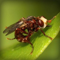 /album/oyun-cumhuriyeti/photolia-a06-jpg/