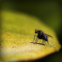 /album/oyun-cumhuriyeti/photolia-a07-jpg/