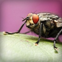 /album/oyun-cumhuriyeti/photolia-a08-jpg/